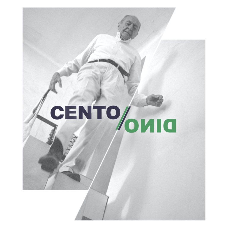 cover of Cento % Dino