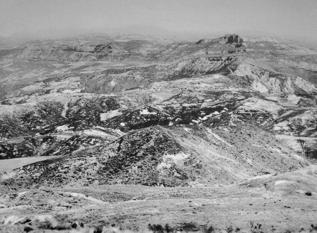 La zona di Monte Adone fotografata dalle postazioni americane di Livergnano - foto tratta dal pannello didattico posto ai piedi del caposaldo di Monterumici (Monzuno)