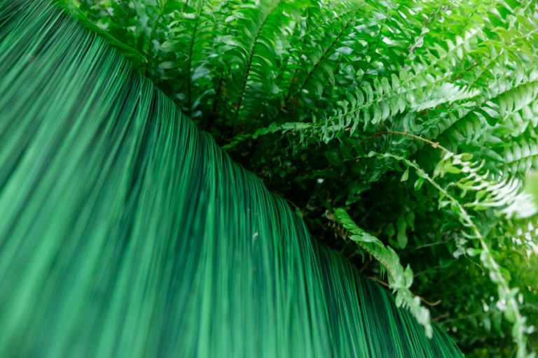 cover of