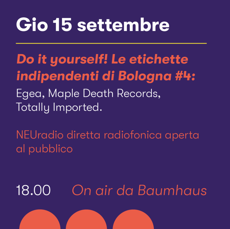 copertina di Do it yourself! Le etichette indipendenti di Bologna #4