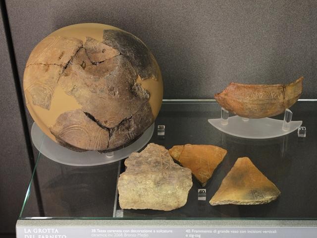 Frammenti di tazze e vasi decorati provenienti dagli scavi della Grotta del Farneto - Museo Civico Archeologico (BO) - Sez. Preistorica