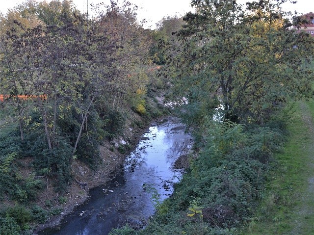 Il canale Navile attraversa il parco di Villa Angeletti (BO)