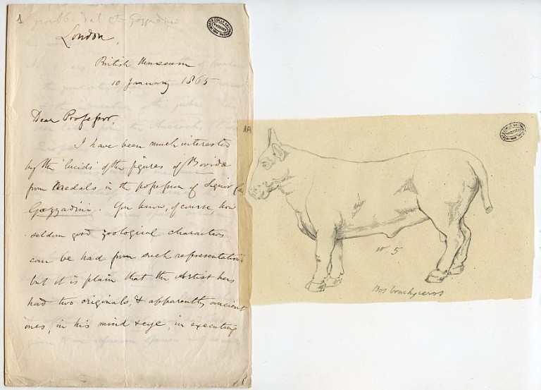 Lettera del biologo e paleontologo britannico Richard Owen