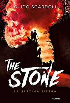 copertina di The stone