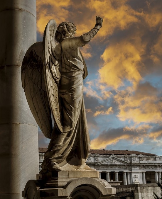 cover of Angeli e demoni: simboli ed enigmi della Certosa