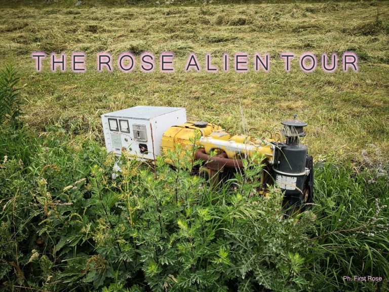immagine di The Rose Alien Tour