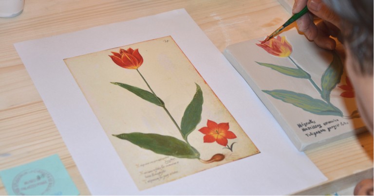 cover of