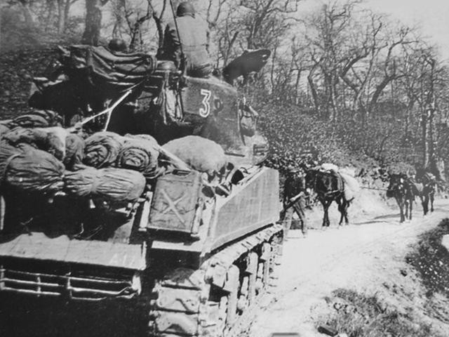 Carri armati del 13 btg USA e muli italiani nei pressi di Tolè durante l'offensiva di primavera - Mostra permanente di Tolè sulla Linea Gotica