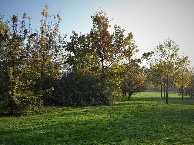 Parco Nicholas Green (BO)