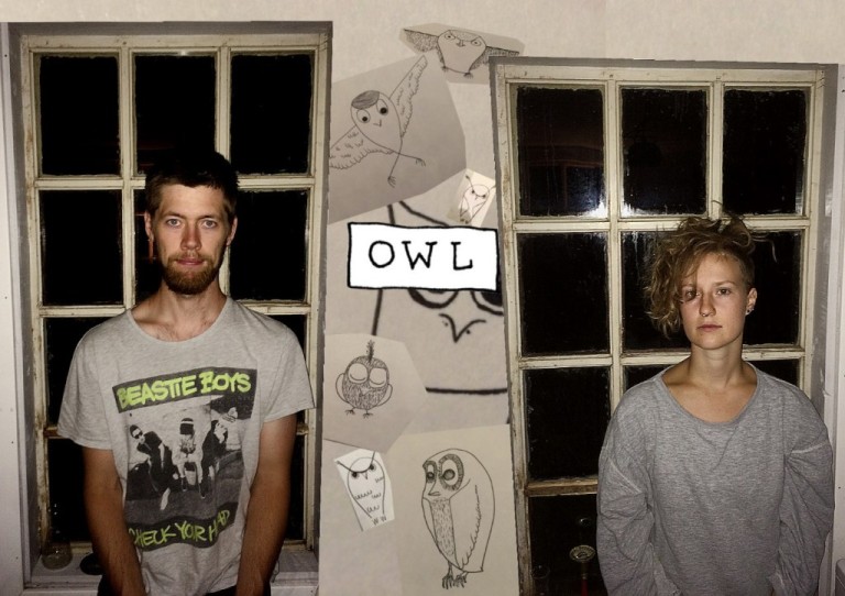 copertina di Owl