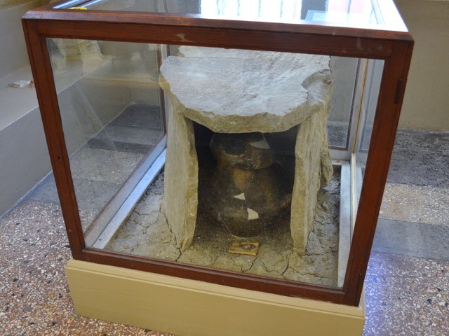 Etruschi Necropoli villanoviana di San Vitale