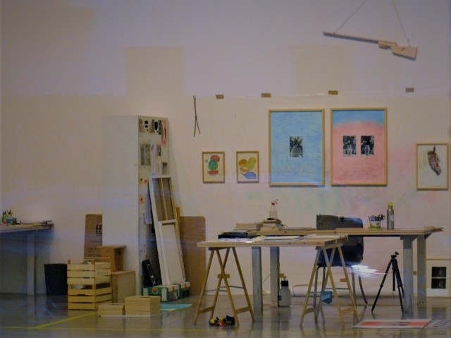 cover of