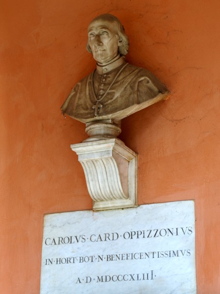 Busto del cardinale Oppizzoni benefattore dell'Orto Botanico bolognese