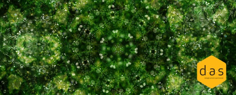 cover of