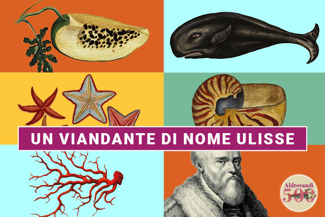cover of Un viandante di nome Ulisse