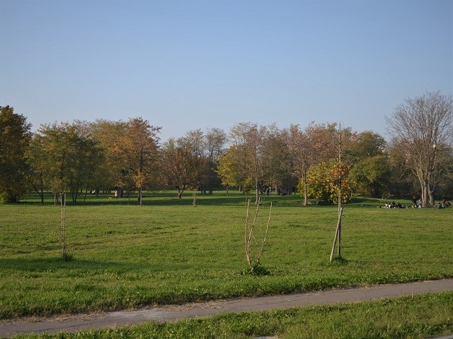 Parco Nicholas Green (BO)