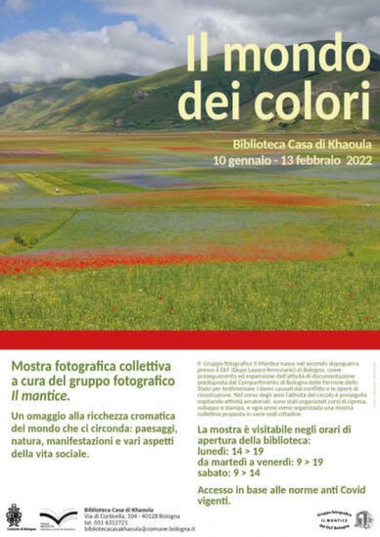 cover of