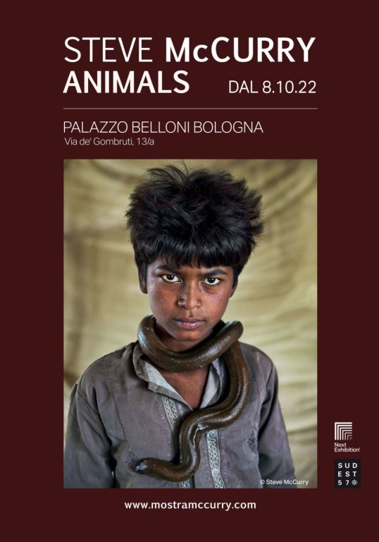 copertina di Steve McCurry - Animals