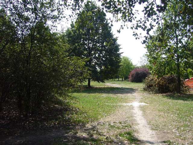 copertina di Arboreto del Pilastro