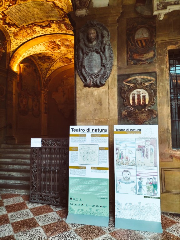 cover of